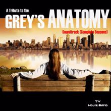 The Seattle Grace Choir: Grey's Anatomy Soundtrack (Music Inspired from the TV Series)