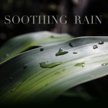 Rain Sounds: Soothing Rain