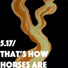 Thom Yorke: 5.17 / That's How Horses Are