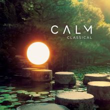 Wolfgang Amadeus Mozart: Calm Classical