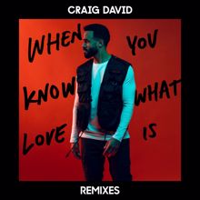 Craig David: When You Know What Love Is (Remixes)