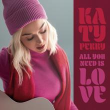 Katy Perry: All You Need Is Love