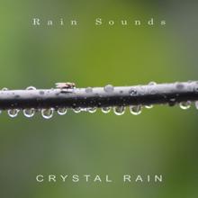 Rain Sounds: Crystal Rain