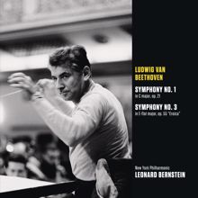 Leonard Bernstein: III. Menuetto. Allegro molto e vivace