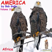 Bob Gallo: America, Vol 10. In the Heart of Africa