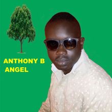 Anthony B: Angel