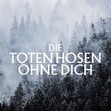 Die Toten Hosen: Ohne Dich (Ohne Strom)