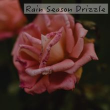 Rain Sounds: Rain Season Drizzle