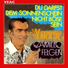 Camillo Felgen: Du darfst dem Sonnenschein nicht böse sein