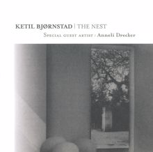 Ketil Bjørnstad: The Nest