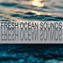 Ocean Sounds: Fresh Ocean Sounds