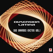 Dimension Latina: Sus Grandes Éxitos, Vol. 1