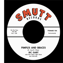 Various Artists: Pimples and Braces / The Hunt