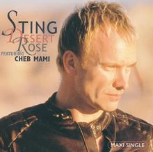 Sting: Desert Rose