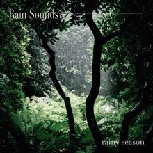 Rain Sounds: Rainy Season