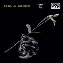 Zeal & Ardor: Cinq