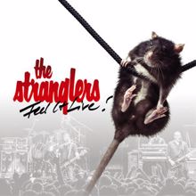 The Stranglers: Feel It Live