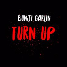 Bunji Garlin: Turn Up