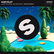 Sam Feldt: Just To Feel Alive (feat. JRM) (Remix)