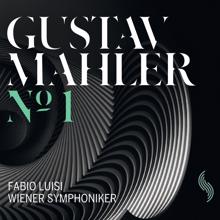 Wiener Symphoniker: Mahler: Symphony No. 1