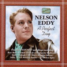 Nelson Eddy: Eddy, Nelson: A Perfect Day (1935-1947)