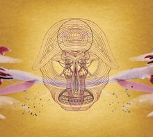 Devendra Banhart: What Will We Be (Standard)