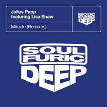 Julius Papp: Miracle (feat. Lisa Shaw) (Remixes)