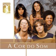 A Cor Do Som: Warner 30 Anos