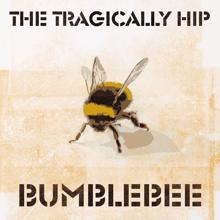 The Tragically Hip: Bumblebee