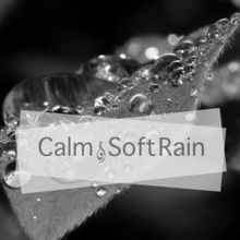 Rain Sounds: Calm & Soft Rain