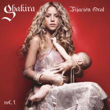 Shakira feat. Gustavo Cerati: Dia Especial