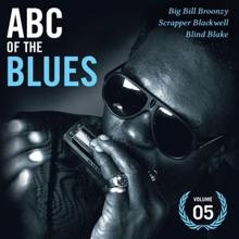 Big Bill Broonzy: ABC Of The Blues Vol 5