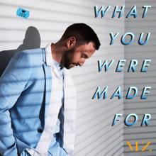Måns Zelmerlöw: What You Were Made For