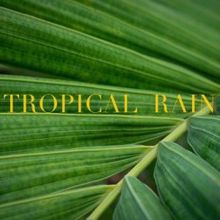 Rain Sounds: Tropical Rain