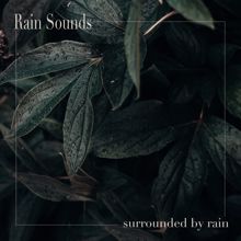 Rain Sounds: Surrounded by Rain