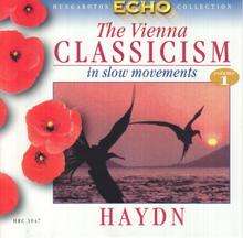 Various Artists: Viennese Classicism In Slow Movements, Vol. 1: Haydn