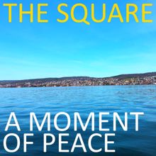 THE SQUARE: A Moment of Peace