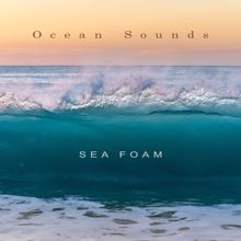 Ocean Sounds: Sea Foam