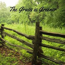 Rain Sounds: The Grass is Greener