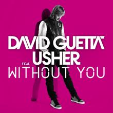 David Guetta: Without You (feat.Usher) [Style Of Eye Remix]