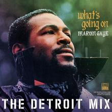 Marvin Gaye: What’s Going On: The Detroit Mix