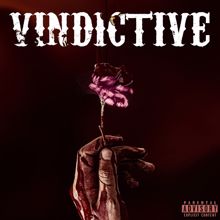 GC (Gate Citizens): Vindictive