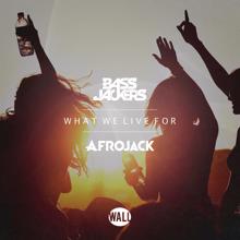 Bassjackers: What We Live For