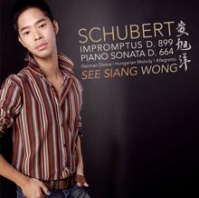See Siang Wong: Schubert: 4 Impromptus Op. 90, Piano Sonata In A  Major