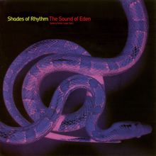 Shades Of Rhythm: The Sound Of Eden (Every Time I See Her)