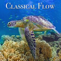 Lifestyle Music Group: Classical Flow