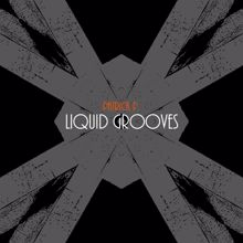 Patrick P.: Liquid Grooves