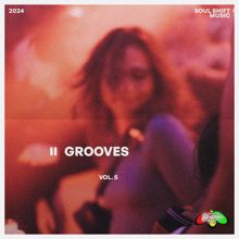 Various Artists: Grooves Vol. 5