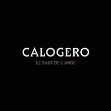 Calogero: Le Saut De L'Ange (Radio Edit)