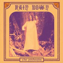 The Pinheads: Rain Down